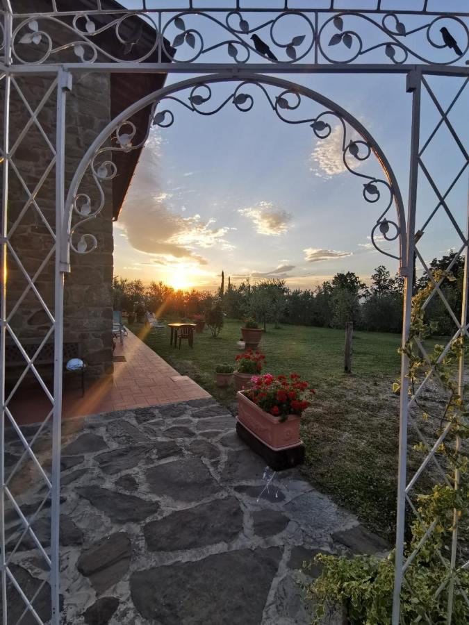 Il Cerro Guest House Pelago ภายนอก รูปภาพ