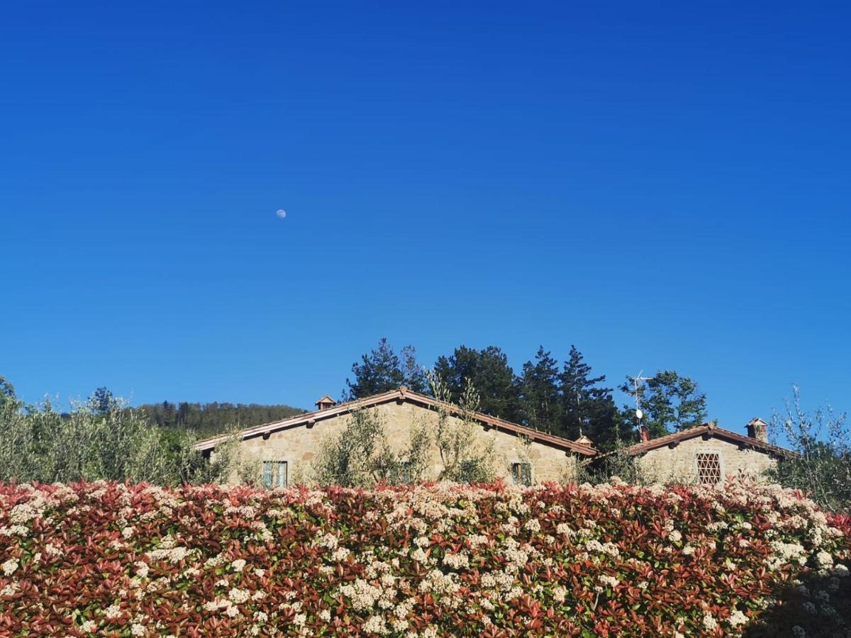 Il Cerro Guest House Pelago ภายนอก รูปภาพ
